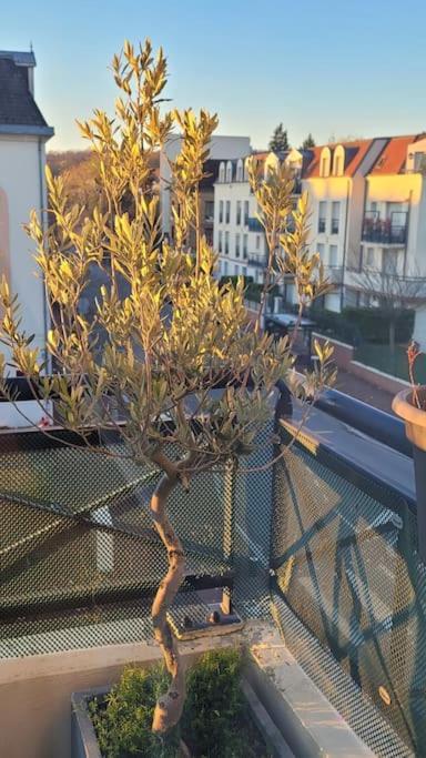Duplex Art Place, Olympics 2024 Les Clayes-Sous-Bois Luaran gambar